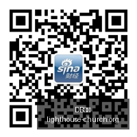 机器人发展,终极指南,全球合作新,DB体育,DB体育官网,DB体育app,DB体育直播